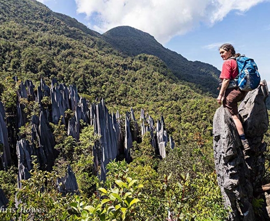 Mulu National Park Not for the faint hearted
